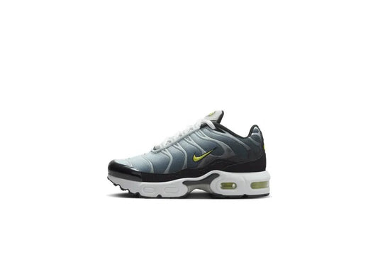 Nike Air Max Plus Little Kids'